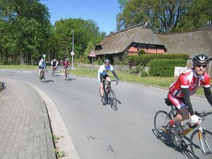 RTF Celle Rocky 51